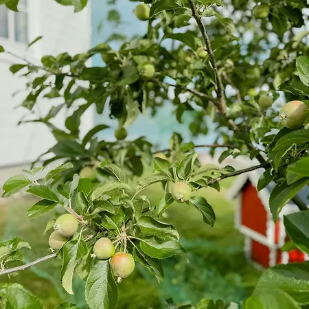 Coastal In Kastneshamn