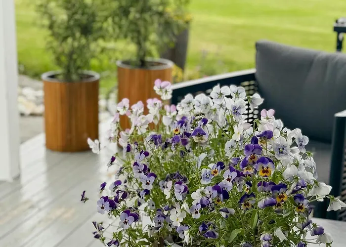 Coastal In Kastneshamn Semesterbostad *